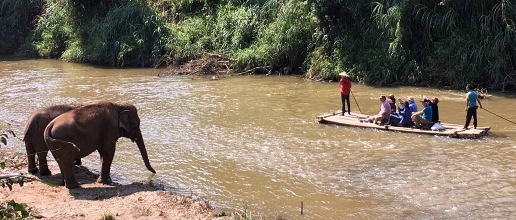 best thailand tours from canada